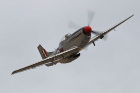 P51 NZ