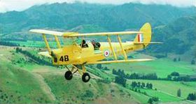 Tiger Moth